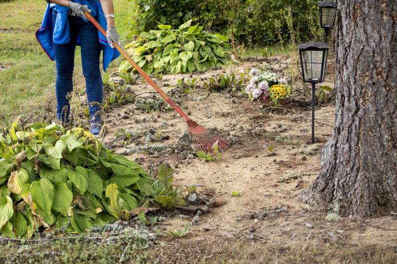Site Cleaning in Katy, TX